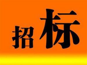 關于天鵝湖旅游度假區智慧管理平臺建設項目的招標公告